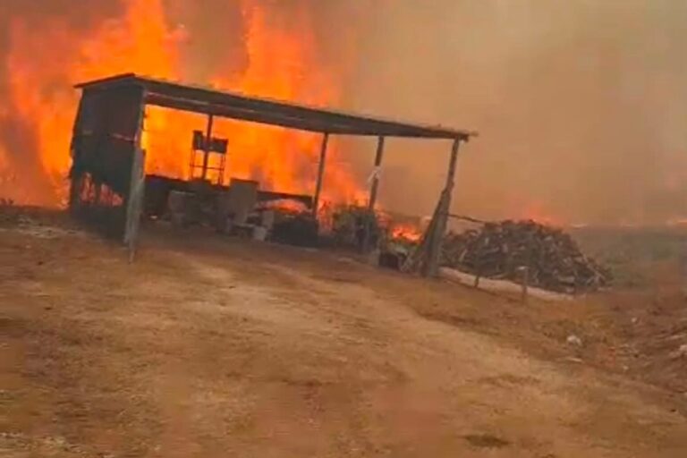 Le Gargano brûle : le feu atteint les plages de Peschici, les touristes mis en sécurité par la mer