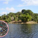 Le plastique pénètre en Amazonie et se retrouve dans les poissons qui nourrissent des millions de personnes