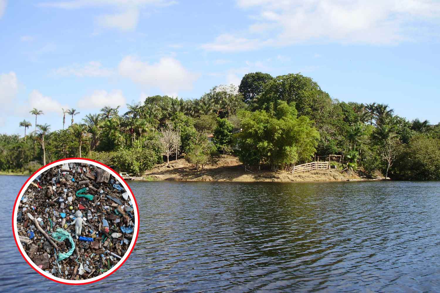 Le plastique pénètre en Amazonie et se retrouve dans les poissons qui nourrissent des millions de personnes