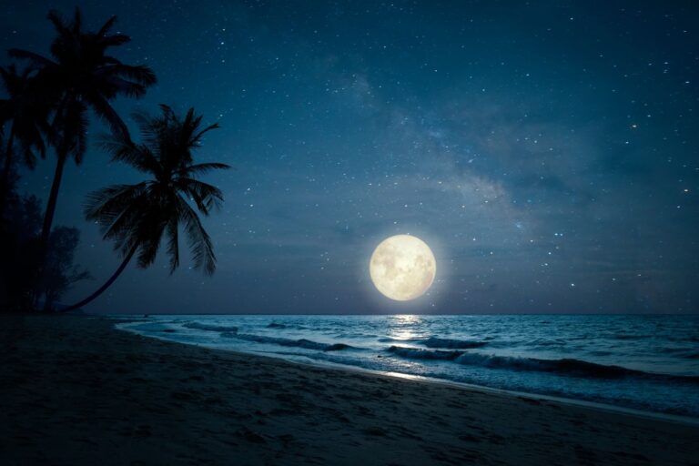 Ce soir, ne manquez pas la splendide Pleine Lune des Cerfs : voici où vous installer après le coucher du soleil pour admirer le spectacle