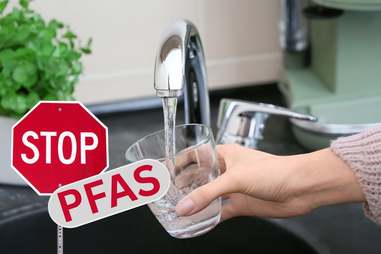 PFAS dans l'eau potable : à partir d'aujourd'hui, de nouvelles limites et contrôles entrent en vigueur jusqu'au robinet domestique, ce qui change