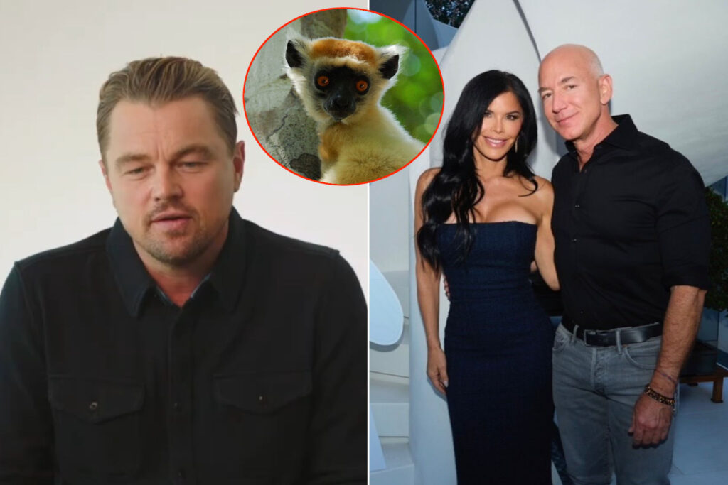 Bezos e DiCaprio