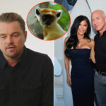 Leonardo DiCaprio et Jeff Bezos ensemble pour protéger 100 espèces en péril avec un investissement de 200 millions : le Phoenix Species Project est né