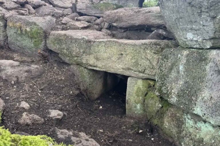 En Sardaigne, on a découvert un tombeau de géant datant d'environ 3 800 ans : il était caché dans la végétation