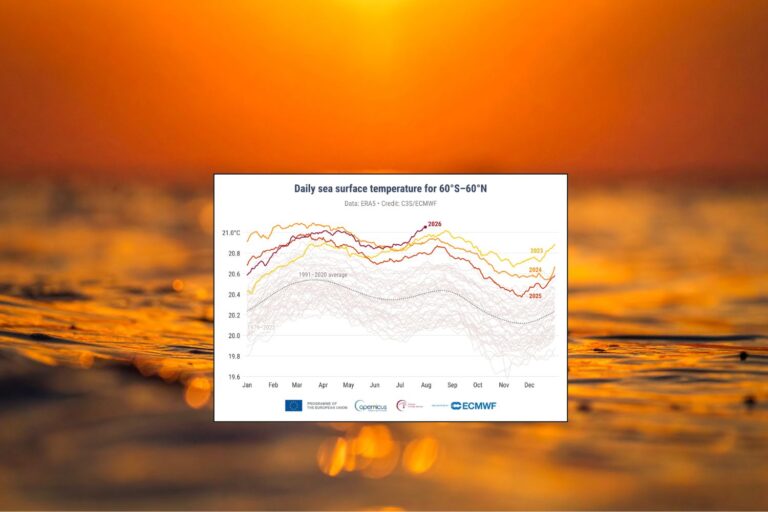 Les océans sont en fièvre : en juillet, la température de la mer a atteint des niveaux records jamais vus auparavant