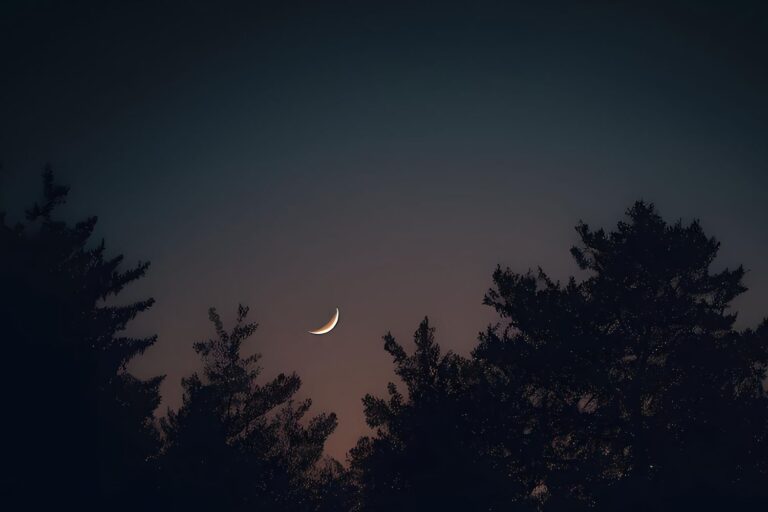 Ne manquons pas le rare trio céleste qui s'apprête à arriver, il sera visible à l'œil nu !