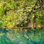La baignade est interdite dans le parc de la rivière Elsa : les pique-niques seront également arrêtés (pour protéger l'écosystème des assauts des touristes)