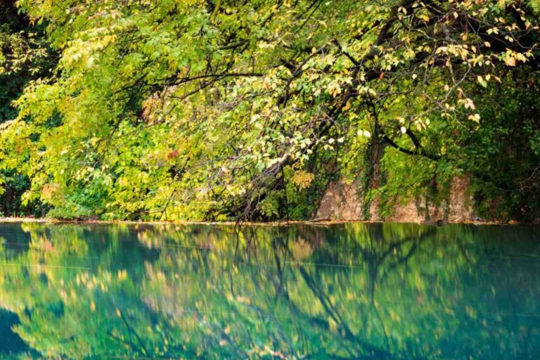 La baignade est interdite dans le parc de la rivière Elsa : les pique-niques seront également arrêtés (pour protéger l'écosystème des assauts des touristes)
