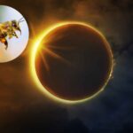 Lors des éclipses solaires, les abeilles cessent de bourdonner : ce qu'il faut savoir en vue de l'éclipse du 12 août 2026