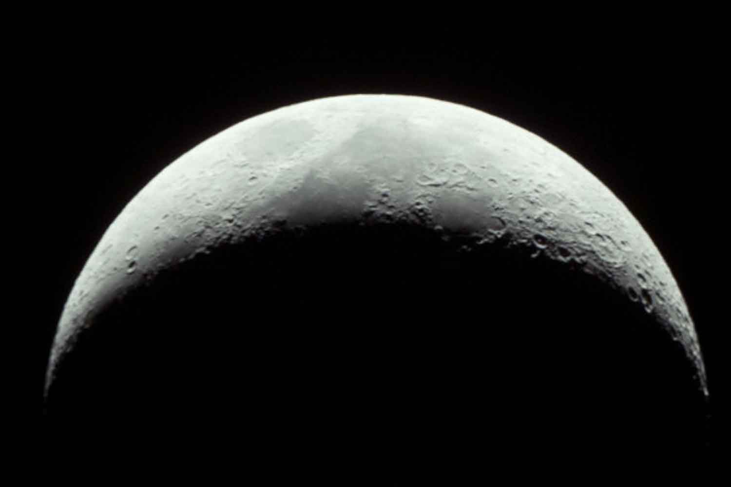 Luna cinerea