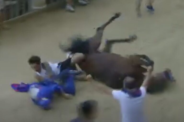 Au Palio de Sienne, Nicchio gagne après 28 ans, mais tombe avec le jockey Tittia (blessé à la tête)