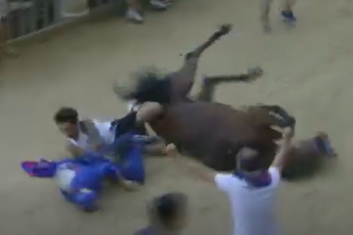 Palio di Siena