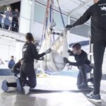 Sauvés de l'euthanasie mais pas de la captivité : 2 autres bélugas et 4 dauphins de Marineland ont été transférés dans un aquarium