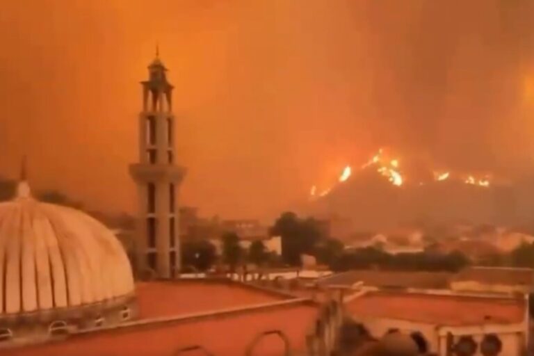 Dans le silence général, l'Algérie est ravagée par près de 200 incendies : environ 70 morts et des dizaines de blessés graves