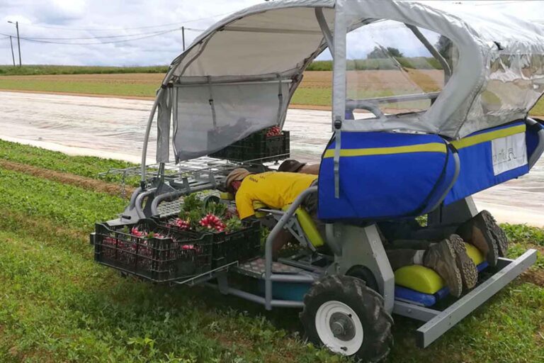Il invente une machine spéciale qui sauve le dos des agriculteurs en les faisant travailler allongés