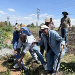En Ethiopie, une coopérative a brûlé 2 305 litres de diesel en trois mois : elle irrigue désormais ses champs grâce à l'énergie solaire