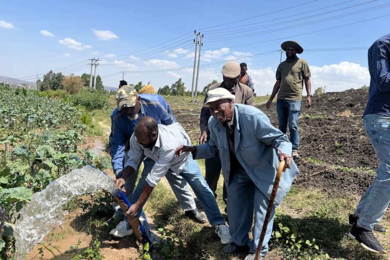 En Ethiopie, une coopérative a brûlé 2 305 litres de diesel en trois mois : elle irrigue désormais ses champs grâce à l'énergie solaire