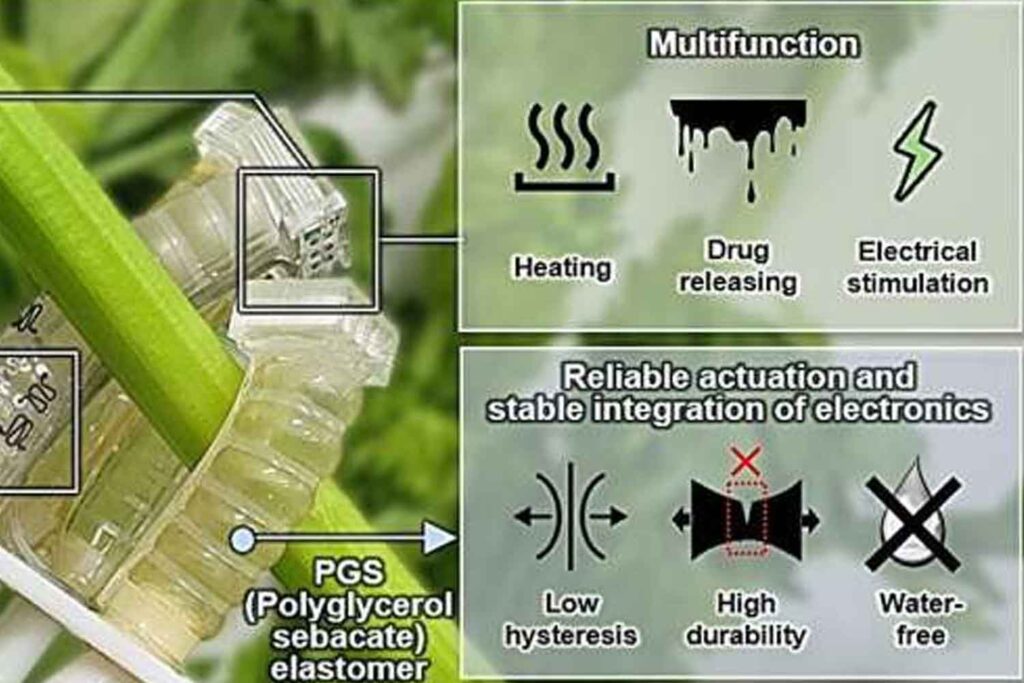 Robot biodegradabile