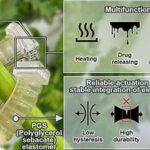 Adieu les déchets électroniques : le robot qui les transforme en compost naturel est né