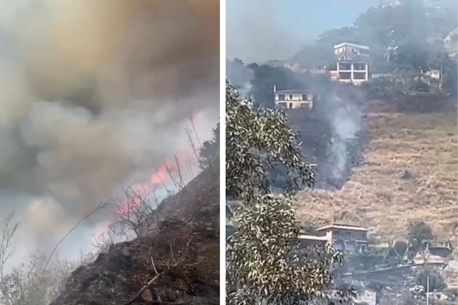 Taormina en flammes, les incendies menacent les habitations : « la situation est vraiment tragique »