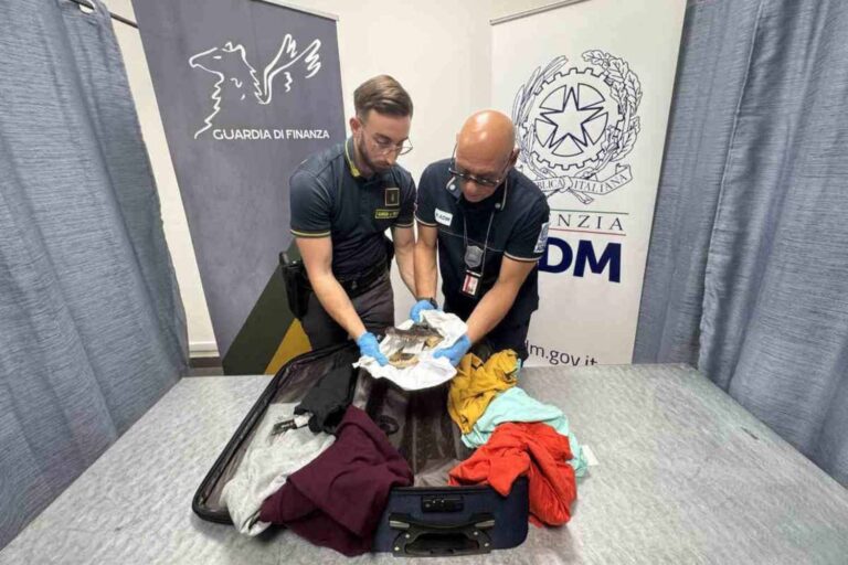 Une tête de crocodile saisie à l'aéroport de Turin : l'horreur du trafic illégal d'espèces protégées ne s'arrête pas
