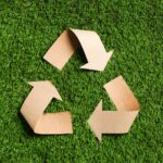 Emballage durable : Rome au centre de l'avenir du carton