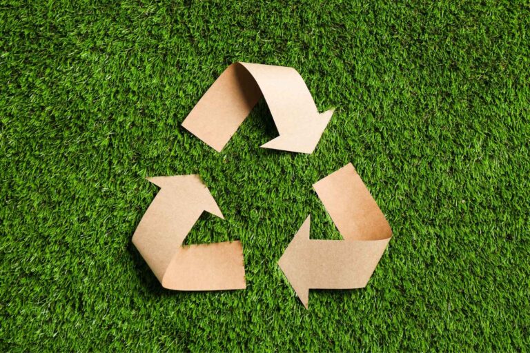 Emballage durable : Rome au centre de l'avenir du carton