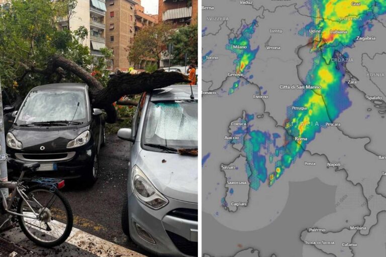Bombe à eau sur Rome : arbres tombés sur les voitures et circulation à l'arrêt (mais à partir de demain le vortex cyclonique se dirige vers le Sud)
