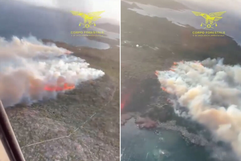 Vaste incendie sur l'île de Santa Maria, dans l'archipel de la Maddalena : 5 hectares de maquis méditerranéen détruits