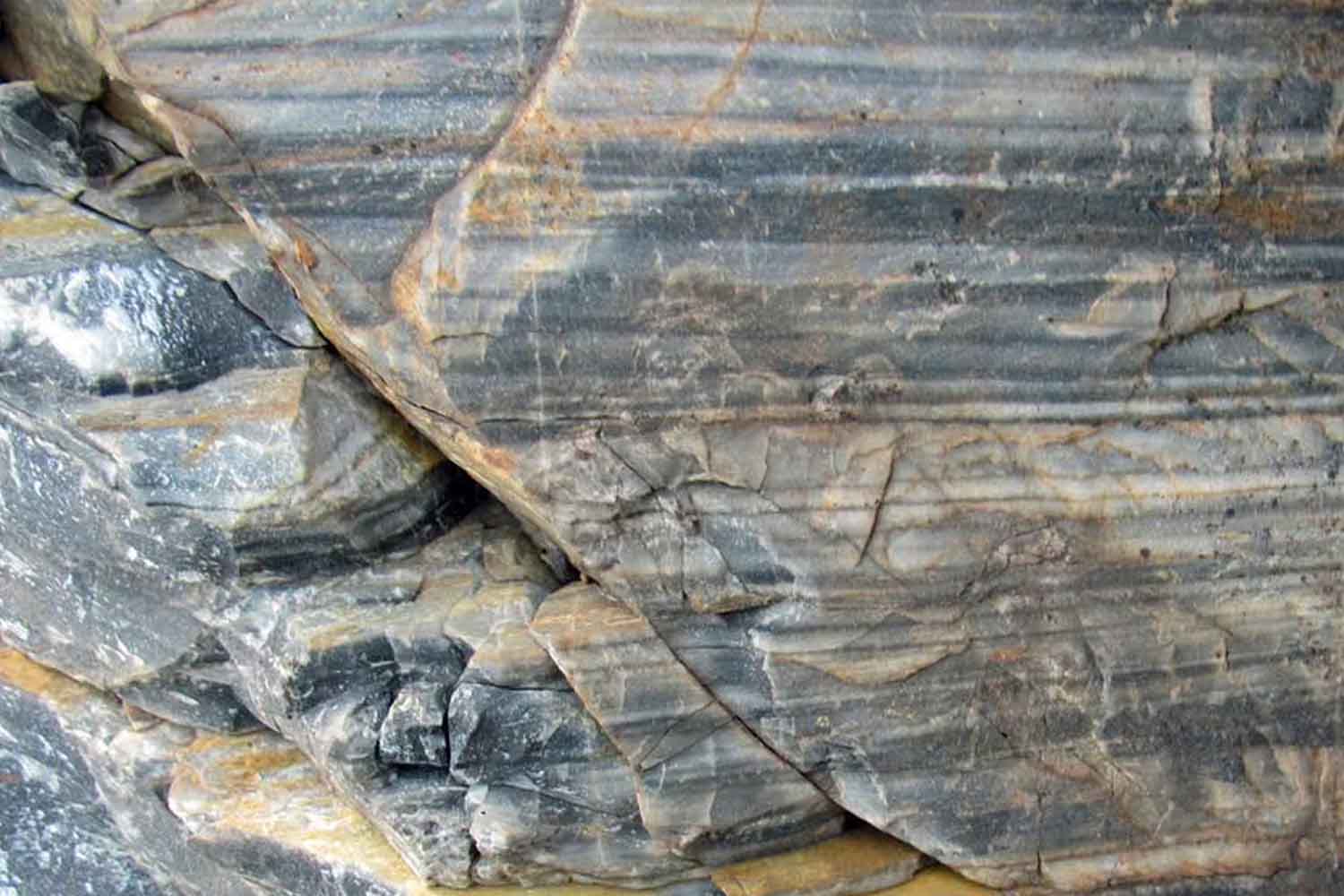 roccia più antica al mondo Dr. Chaudhuri