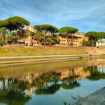 Combien d’espèces vivent réellement le long du Tibre ? A Rome, citoyens et experts tentent de les recenser