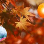 Prévisions météo automne 2026 : températures supérieures à la moyenne et pluies plus fréquentes, voici à quoi s'attendre