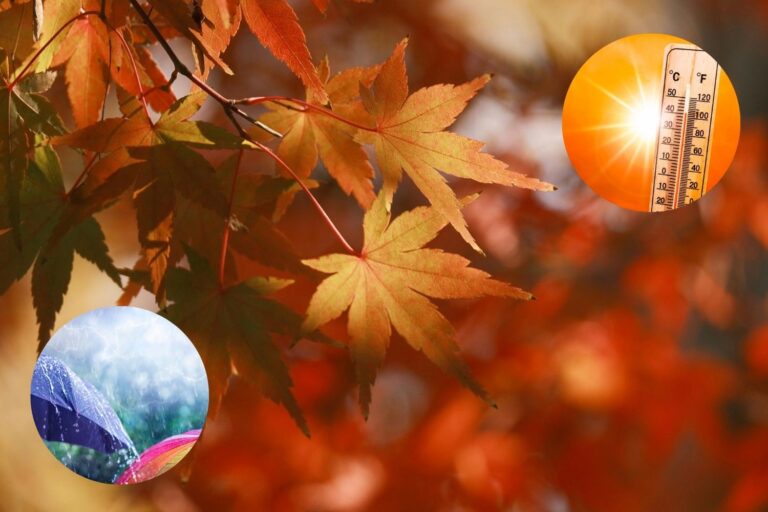 Prévisions météo automne 2026 : températures supérieures à la moyenne et pluies plus fréquentes, voici à quoi s'attendre