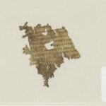 Un fragment de l'Odyssée vieux de 1 700 ans trouvé dans une bibliothèque hollandaise : il contient le passage sur la malédiction de Zeus