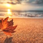 Equinoxe d'automne : tout ce qu'il faut savoir sur le jour où la lumière et l'obscurité sont égales