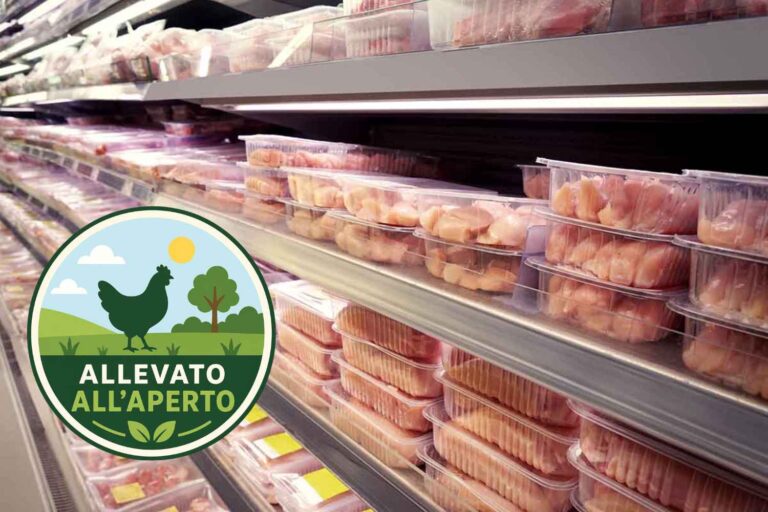 Bien-être animal, nouvelles règles contre les étiquettes trompeuses à partir du 27 septembre : voici ce que les entreprises ne pourront plus dire