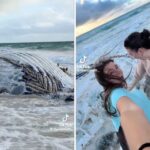 La baleine est morte, mais la plage se remplit : tout le monde veut un selfie avec la carcasse