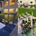 Une vache se perd et tombe dans la piscine d'un hôtel bien-être du Val Venosta: le sauvetage insolite des pompiers