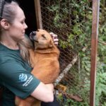 Corée du Sud : 70 chiens sauvés avant l'interdiction de la viande