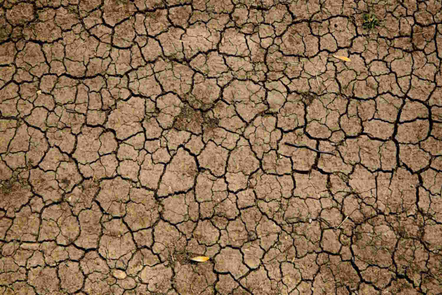 Gros plan sur le zénith d'un sol aride et argileux complètement fissuré à cause de la sécheresse et du manque d'eau