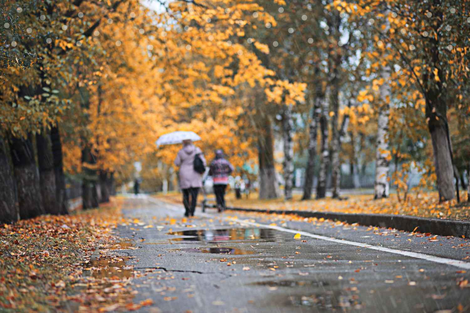 autunno