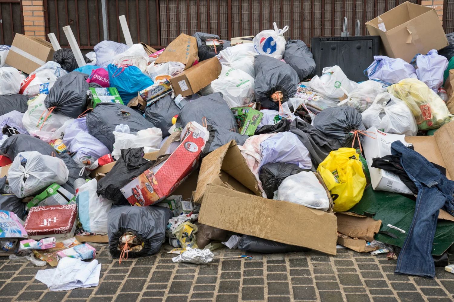 ecomafie reati ambientali 2026