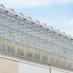 Il s'agit de la plus grande serre sur toit au monde : 45 tonnes de nourriture par mois sont cultivées en ville sans terre.