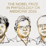 Le prix Nobel de médecine 2026 attribué à Deisseroth, Hegemann et Nagel pour leurs études sur l'optogénétique : « une nouvelle ère pour les neurosciences »