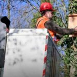 Bat-box : dans cette banlieue parisienne, on installe des « maisons à chauves-souris » pour lutter contre les moustiques tigres