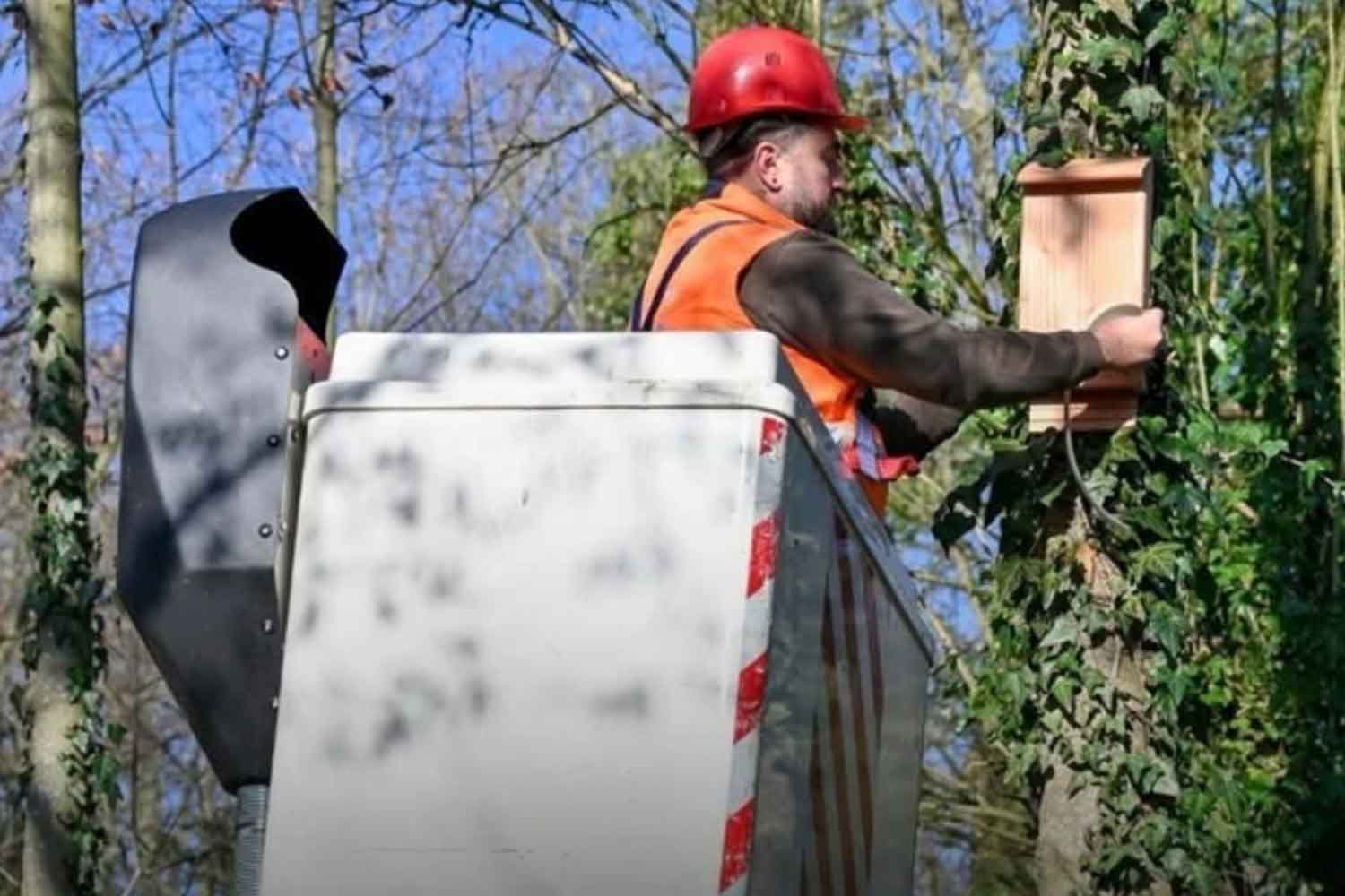 BatBox contro le zanzare