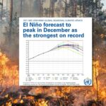 El Niño se renforce à un rythme impressionnant et atteindra son apogée en décembre, selon l'ONU : « ce sera l'un des plus violents jamais enregistrés »