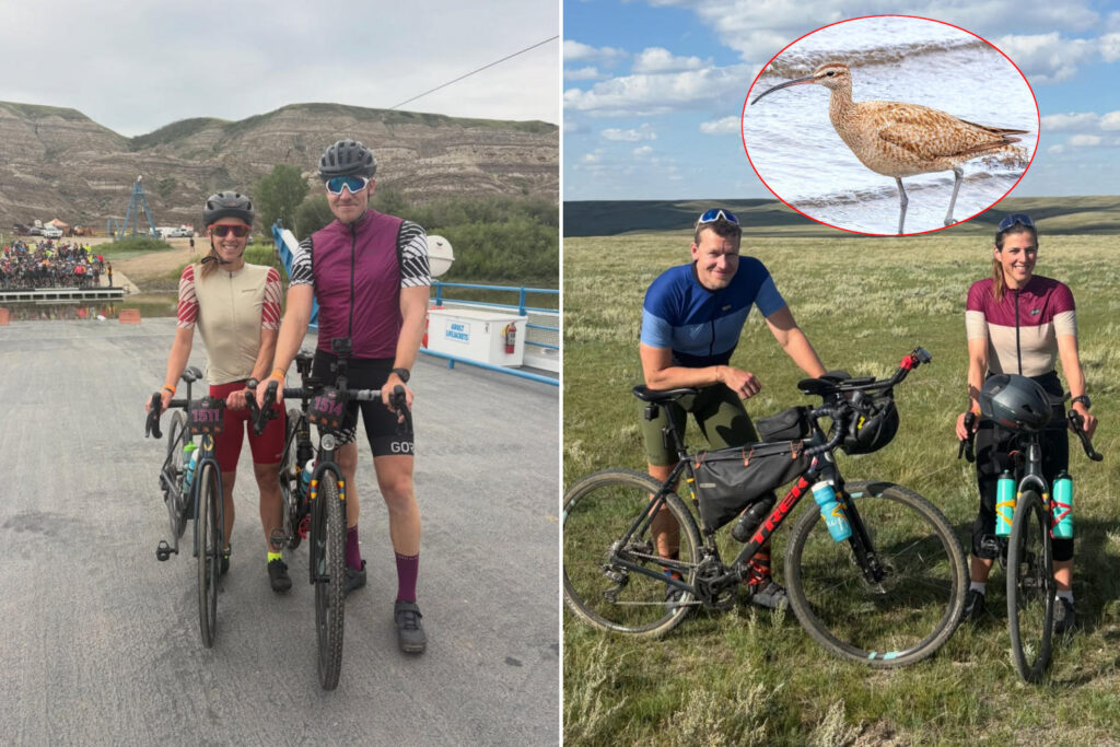 Pedalano chiurlo