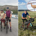De l'Alaska à la Terre de Feu : 30 mille km à vélo pour suivre la route migratoire du courlis d'Amérique (en danger d'extinction)