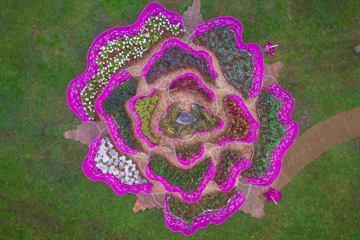 Orticolario 2026_rose voilée